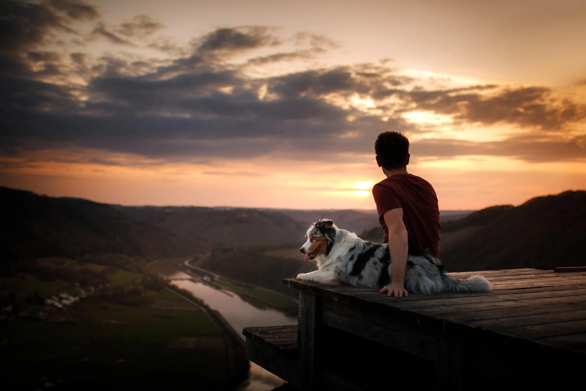DoggyTech, un vínculo que lo cambió todo Nuestra historia