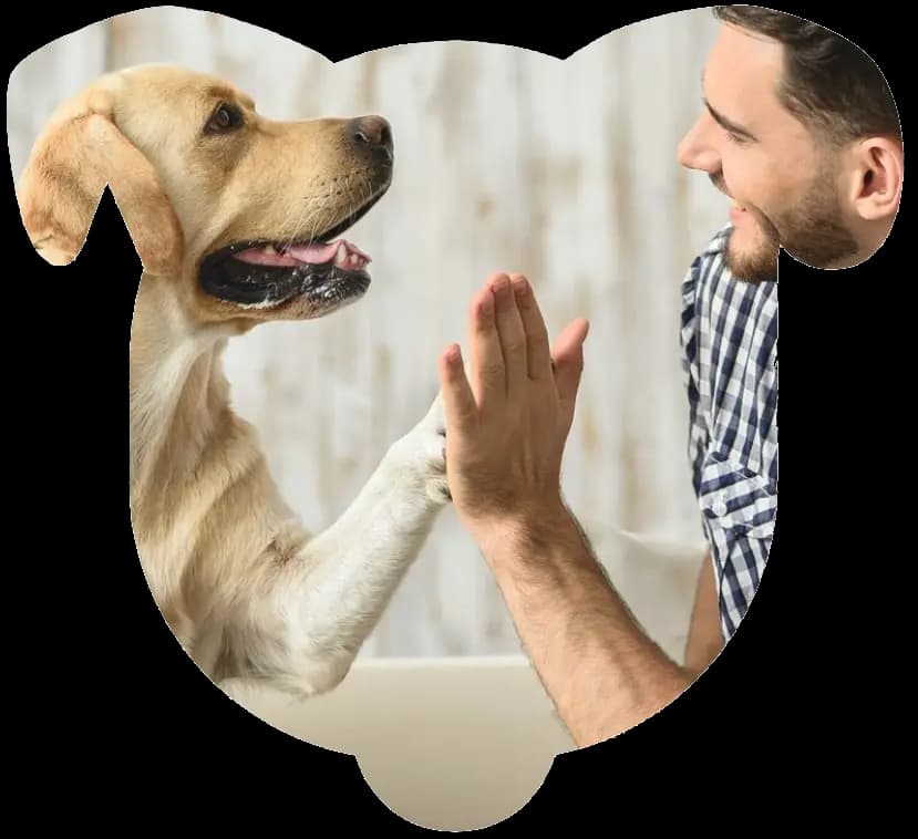 Dog and man