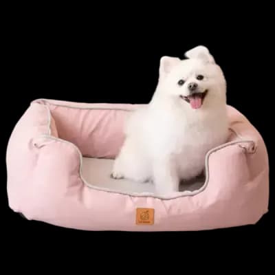 Thumbnail 400x400 for Perro blanco pequeño y esponjoso sentado en una Cama Ortopédica para Perros Luxury de color rosa, con bordes acolchados y diseño ergonómico para mayor comodidad.