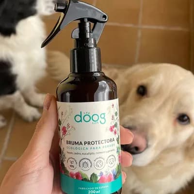 Thumbnail 400x400 for Bruma Protectora Ecológica The Doog Life de 200ml, repelente natural para perros contra pulgas, garrapatas y mosquitos, con un Border Collie y un Golden Retriever al fondo